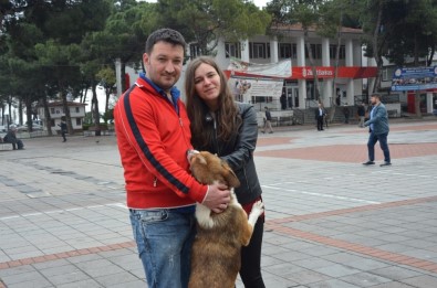 Sokak Köpekleri, Hayvansever Çifte Koştu