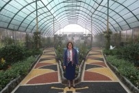 EMINE ERDOĞAN - Tropik Kelebek Bahçesi Açılıyor