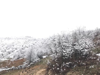 Akçadağ'da Kar Yağışı Etkili Oluyor