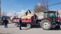 MISIR TOHUMU - Çiftçiler, Aracıları Aradan Çıkarttı, 250 Bin TL Paraları Ceplerinde Kaldı