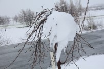 YAĞMURLU - Elazığ'da Nisan Ayında Kar Sürprizi