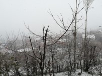 Nisan Ayında Lapa Lapa Kar Yağışı