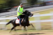 AT YARIŞLARI - Rahvan Atları Nefes Kesti
