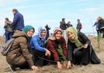 ORMAN GENEL MÜDÜRLÜĞÜ - Üniversiteli Gençlerden 'Hatıra Ormanı'