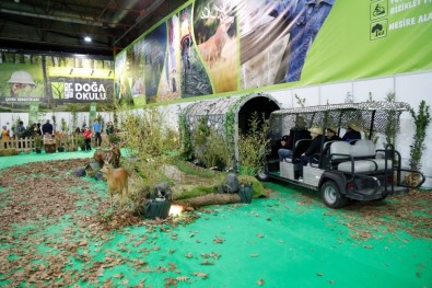 23 Nisan Çocukları, Ormanya'da Safari Deneyimi Yaşadı