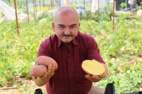 POTASYUM - Annesi İçin Ekti, Fiyatı Ve İlgiyi Görünce Üretime Yöneldi