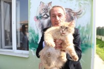 Ciğer Festivali Öncesi İlk Ziyafet Onların