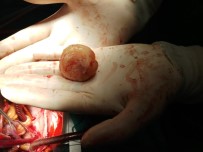 KAHRAMANMARAŞ SÜTÇÜ İMAM ÜNIVERSITESI - Kalbinden Çıktı !