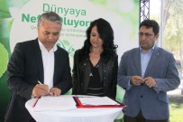 DÜNYA ÇEVRE GÜNÜ - Muratpaşa Belediyesi'nden Akdeniz Foku İçin İşbirliği