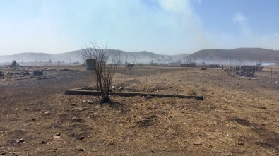 Rusya'daki Orman Yangını Ardında Felaket Bıraktı