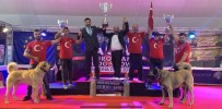 EURASIA - Sivas'ın Kangalları Dünya Şampiyonu Oldu