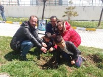 YÜZÜNCÜ YıL ÜNIVERSITESI - Vanlı Üniversiteli Gençlerden Hatıra Ormanı