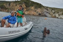 İÇMELER - Zıpkınla Balık Avı Türkiye Şampiyonası Finallleri'nin Eleme Yarışları Yapıldı