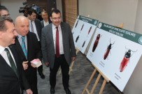 BALıKESIR ÜNIVERSITESI - Balıkesir'in Tarihi İsmi Karesi Fauna Literatürüne Geçti