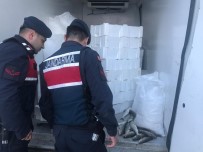 SÖLÖZ - Bursa'da Kaçak Balık Avcılığına Geçit Yok