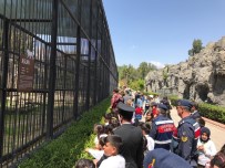 ULUSAL EGEMENLIK - Jandarma Çocukları Sevindirdi