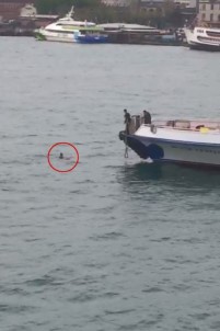 (Özel)Karaköy'de Denize Düşen Bir Şahısın Kurtarılma Anları Kamerada