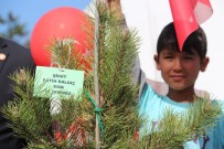 TÜRK KıZıLAYı - Yabancı Öğrenciler Şehitler İçin 600 Fidan Dikti