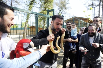 Alişan'ın yılanla imtihanı