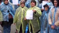 TAŞERON İŞÇİ - Bolu Belediyesi'nde İşten Çıkarılan İşçilerden Oturma Eylemi