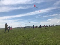 UÇURTMA ŞENLİĞİ - Diyarbakır'da Çocuklar Uçurtma Şenliğinde Buluştu