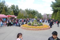 ULUSAL EGEMENLIK - Hayvanat Bahçesinde 23 Nisan Bereketi