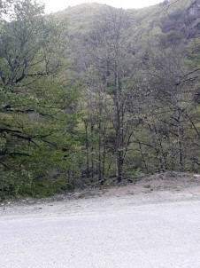 Kanyonda Yürüyüşe Çıkan Çift Kayboldu