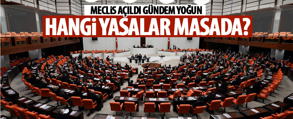 Meclis'in yoğun gündemi!