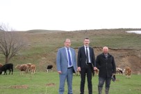 MURAT ŞAHIN - Şahin, Meralar Ve İşletmelerde İncelemelerde Bulundu