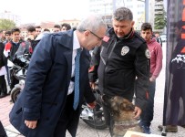 İSTANBUL EMNİYET MÜDÜRLÜĞÜ - Samsun Uyuşturucu İle Mücadelede İlk Sıralarda