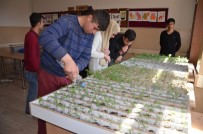 ALİ KUŞÇU - Muş'ta Fide Yetiştiriciliği