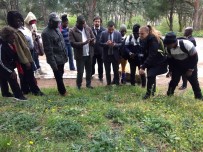 GANA - TİKA, Gana-Akra Ve Liberya-Paynesville Belediyesi Çalışanlarına Park Ve Bahçecilik Eğitimi Verdi
