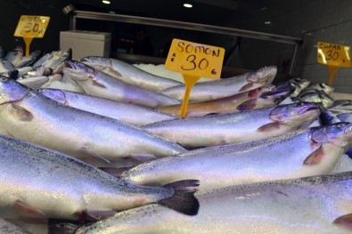 Av Yasağının Başlamasıyla Sinop'ta Balık Fiyatları Yükseldi