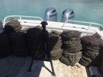 AVCILIK - Eğirdir Gölü'ndeki Kaçak Avcılara Ceza Yağdı