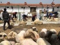 KOYUN KIRKMA - Öğrencilerin Gözleri Önünde Akıma Kapıldılar Açıklaması 1 Ölü, 1 Yaralı