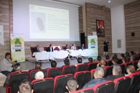 ABDULLAH UÇGUN - Üzümün Geleceği Ve Sorunları Alaşehir'de Konuşuldu