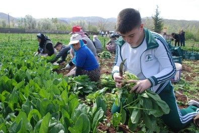 Beden Eğitimi Dersini Tarlada Yaptılar
