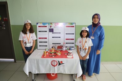 Cizre'de Düzova İlk Ve Orta Okulunda Açılan Bilim Fuarı İlgi Gördü
