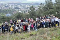 SERINYOL - Hatay'da KYK Öğrencileri Fidanları Toprakla Buluşturdu