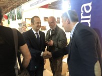 KOCAELİ KİTAP FUARI - İhlas Haber Ajansı, Kocaeli Kitap Fuarı'nda