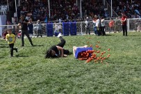 SERACILIK FESTİVALİ - Kadınlar Domates Kasası Taşıdı, Halat Çekip Yarıştı