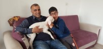 MUSTAFA ÇİMEN - (Özel) Kuzuyla Alışverişe Gidiyor, Çocuk Bezi Bağlıyor