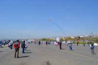 UÇURTMA ŞENLİĞİ - Tekirdağ'da Uçurtma Şenliği
