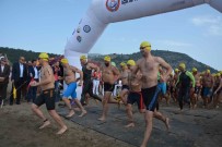OKTAY ERDOĞAN - Dalyan'da Sporcular Carettalarla Yüzdü