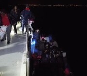 DAVUTLAR - Davutlar'da 42 Kaçak Göçmen Yakalandı