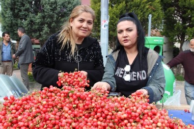 Ege Yaz Meyve Sebze Sektörü 2019 İçin 1 Milyar Dolarlık İhracat Hedefi Koydu