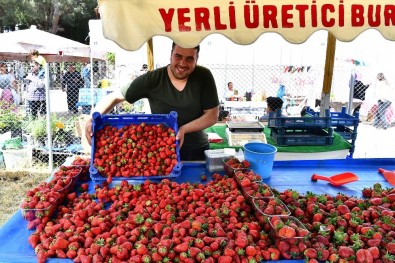 Emiralem'i Çilek Kokusu Sardı