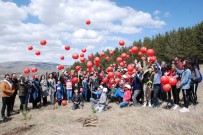 KAZIM KARABEKİR - 'Engelleri El Ele Aşalım Projesi' Kapsamında Etkinlik Düzenlendi