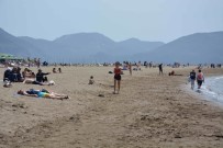 DALYAN - Muğla'da Sahiller Hareketlendi