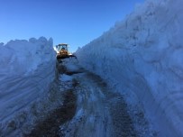 Sis Dağı'na Giden Yayla Yolunu Kardan Temizlemek İçin Gece Gündüz Çalışıyorlar Haberi